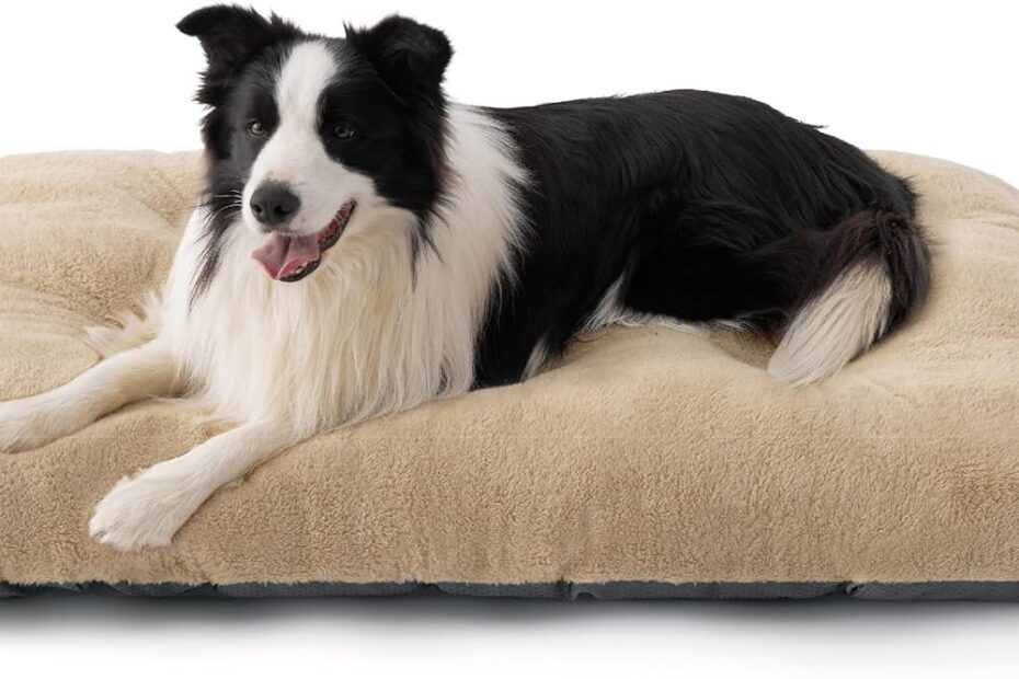 Ultimate Comfort: Review of the Bedsure Washable Dog Bed for Extra Large Dogs