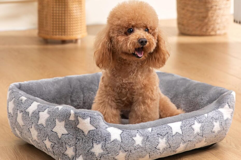 Ultimate Comfort: Review of the Calming Dog Bed for All Sizes!