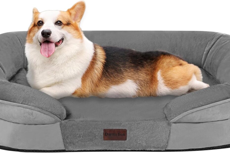 Ultimate Comfort: Review of the Dwanton Orthopedic Dog Bed for Medium Dogs