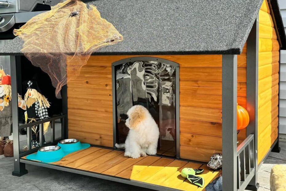 Ultimate Comfort: Review of the Extra Large Insulated Dog House for Big Breeds