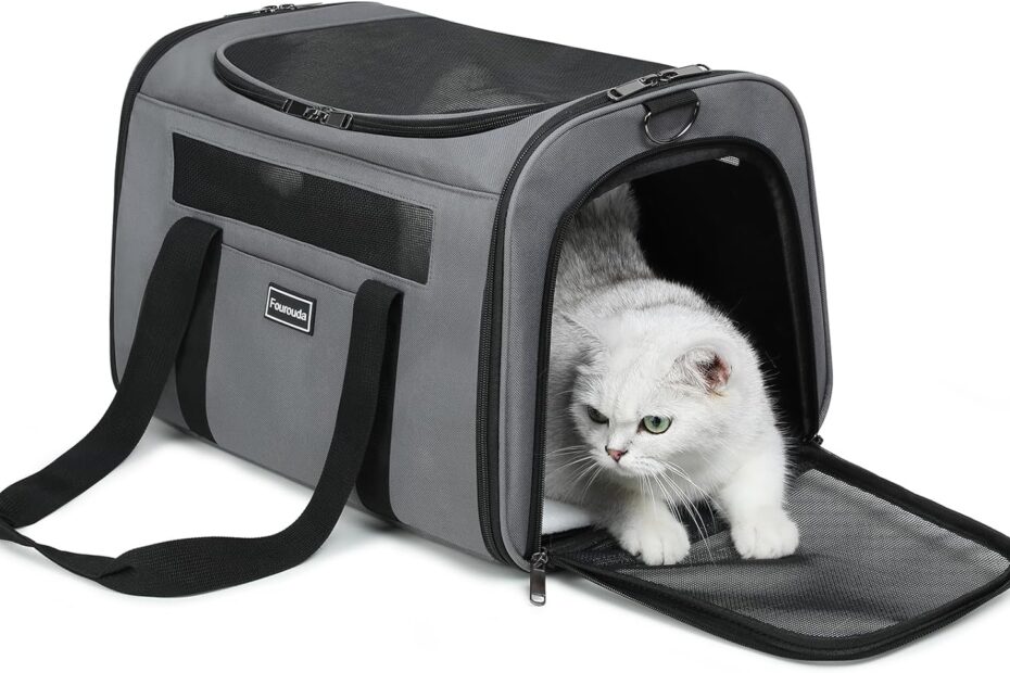 Ultimate Comfort: Review of the Foldable Cat Travel Carrier for Stress-Free Journeys