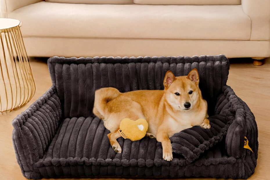 Ultimate Comfort: Review of the FUNNY FUZZY Orthopedic Dog Bed