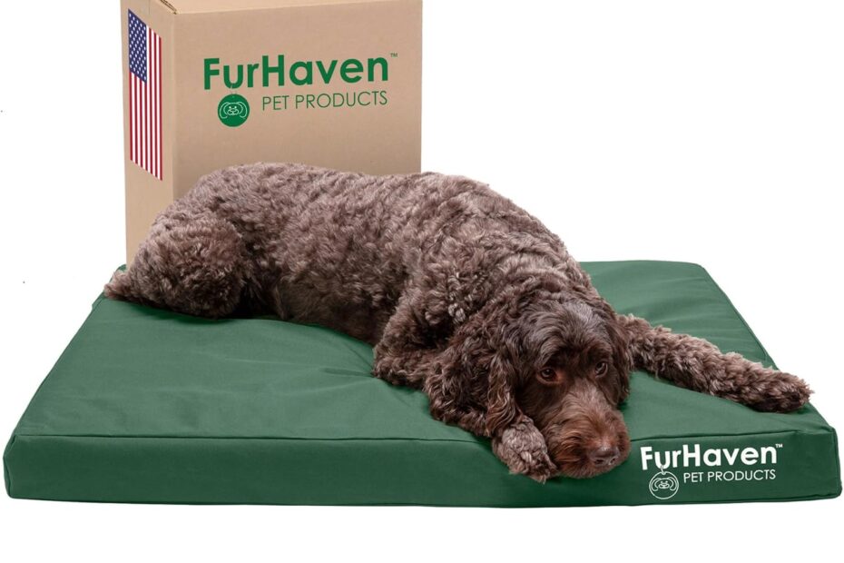 Ultimate Comfort: Review of the Furhaven Water-Resistant Orthopedic Dog Bed