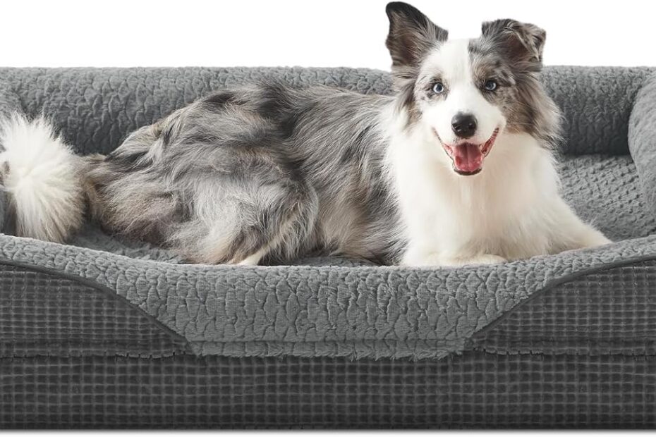 Ultimate Comfort: Review of the INVENHO Orthopedic Large Dog Bed for Your Furry Friend