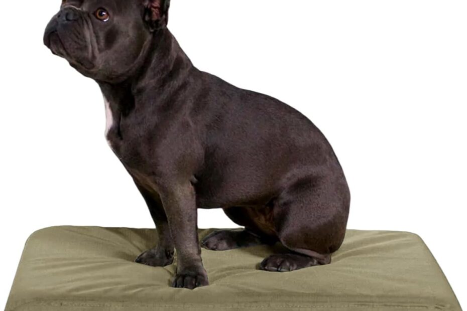 Ultimate Comfort: Review of the K9 Ballistics Tough Orthopedic Dog Bed