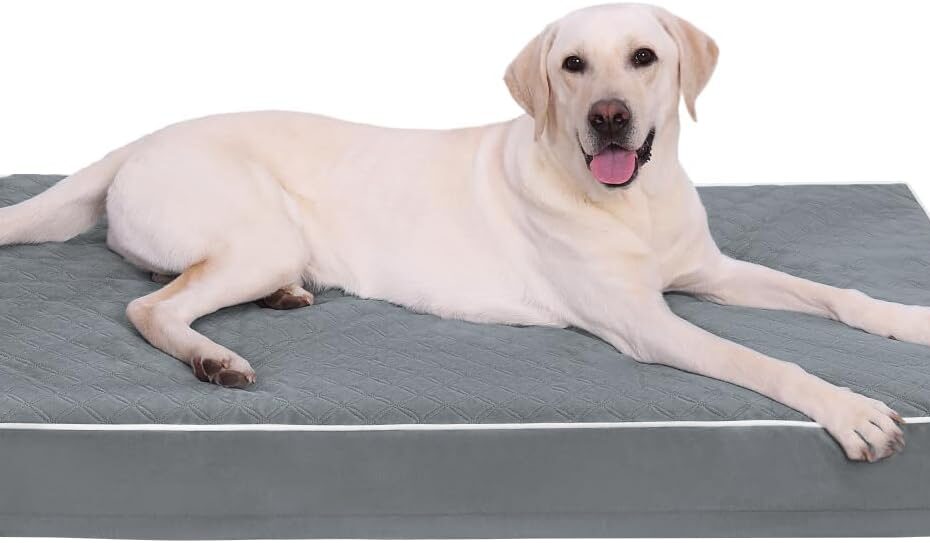 Ultimate Comfort: Review of the KSIIA Large Dog Bed for Crate