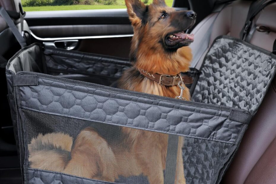Ultimate Comfort: Review of the Large Dog Car Seat for Safe and Stylish Travel!