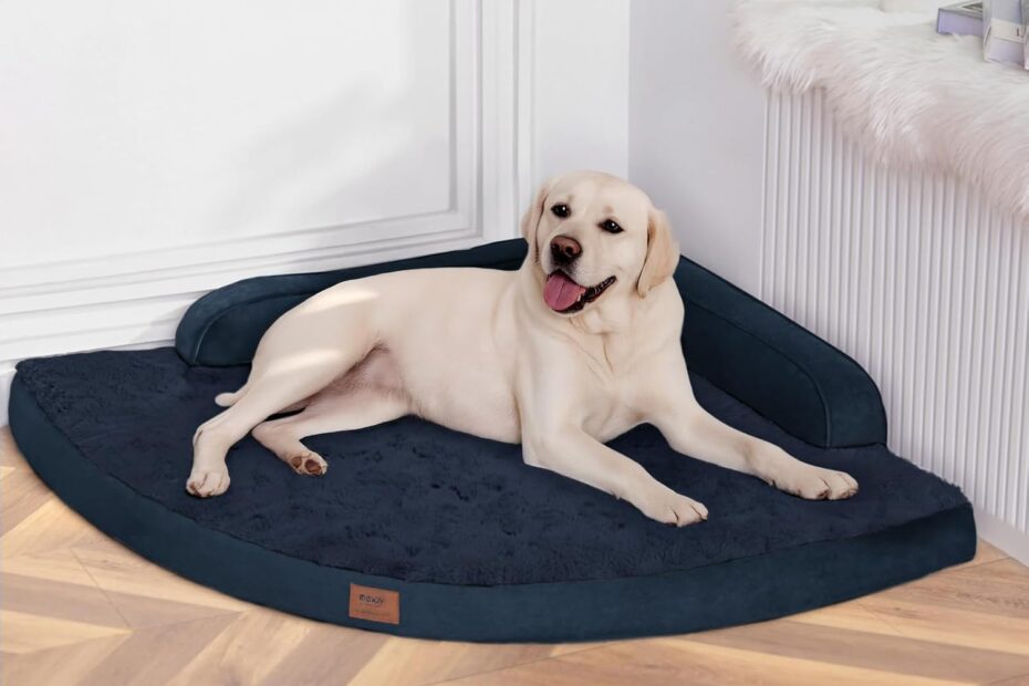 Ultimate Comfort: Review of the Large Orthopedic Dog Bed for Extra Large Breeds