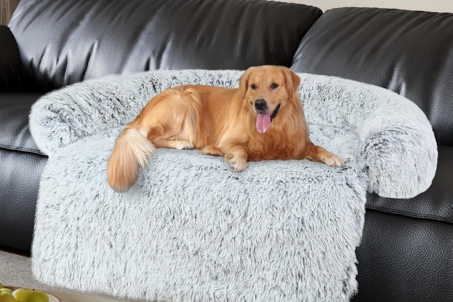 Ultimate Comfort: Review of the Luxurious Memory Foam Dog Couch Bed Protector!