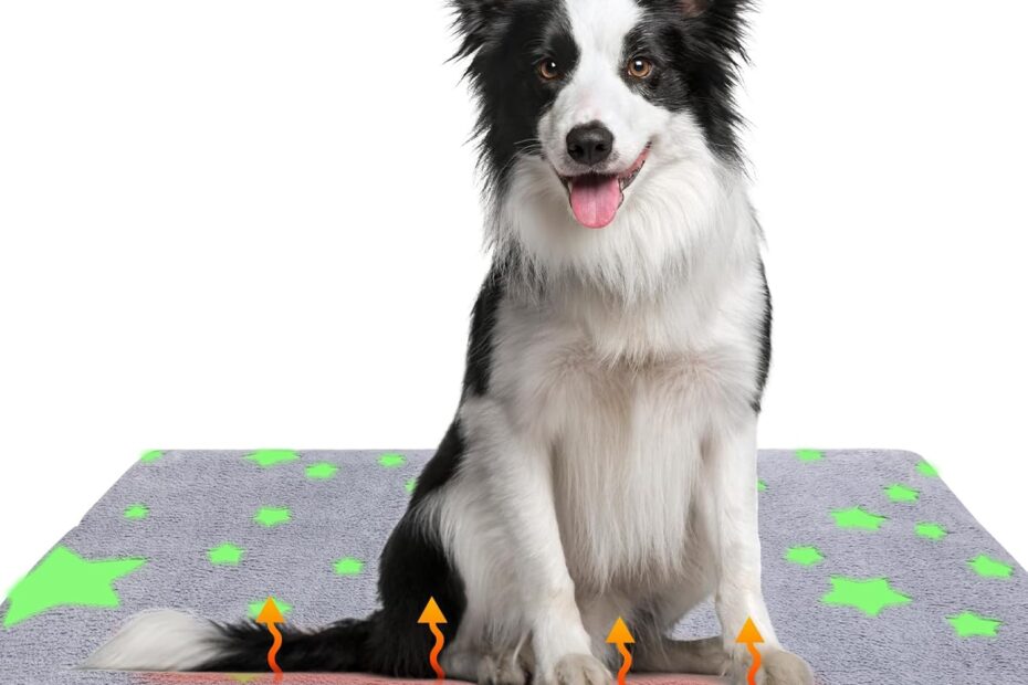Ultimate Comfort: Review of the MH MYLUNE HOME Self Warming Dog Bed Mat