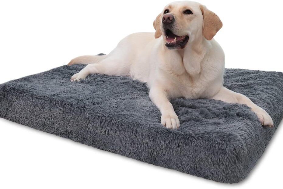 Ultimate Comfort: Review of the MIHIKK Extra Large Orthopedic Dog Bed