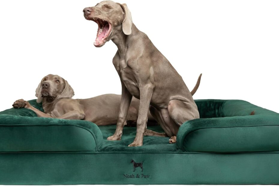 Ultimate Comfort: Review of the NOAH & PAW Giant Orthopedic Dog Bed