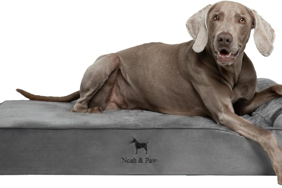 Ultimate Comfort: Review of the NOAH & PAW XL Orthopedic Dog Bed