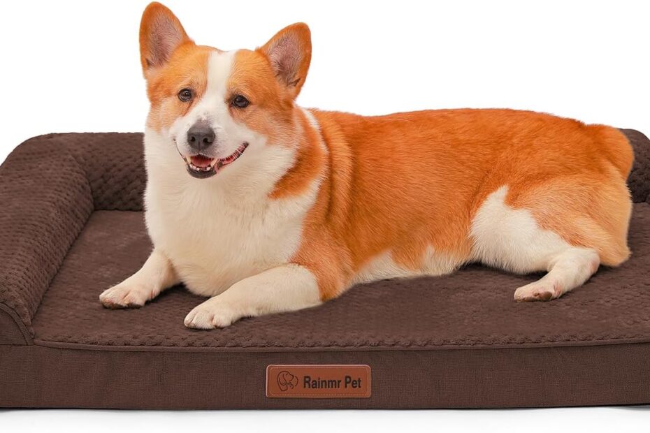 Ultimate Comfort: Review of the Orthopedic 3-Inch Memory Foam Dog Bed for Large Breeds