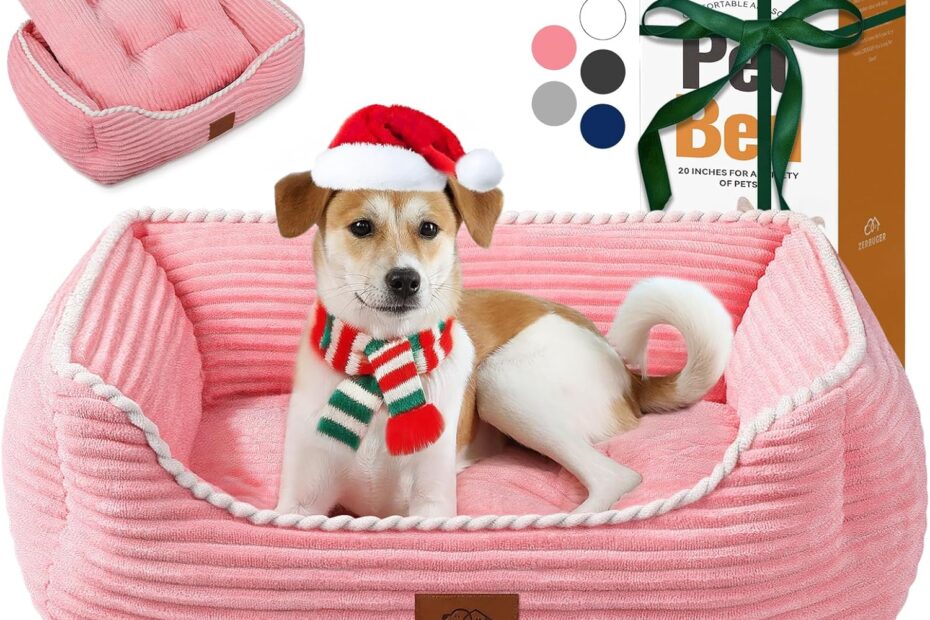 Ultimate Comfort: Review of the Orthopedic Dog Bed for Large Dogs