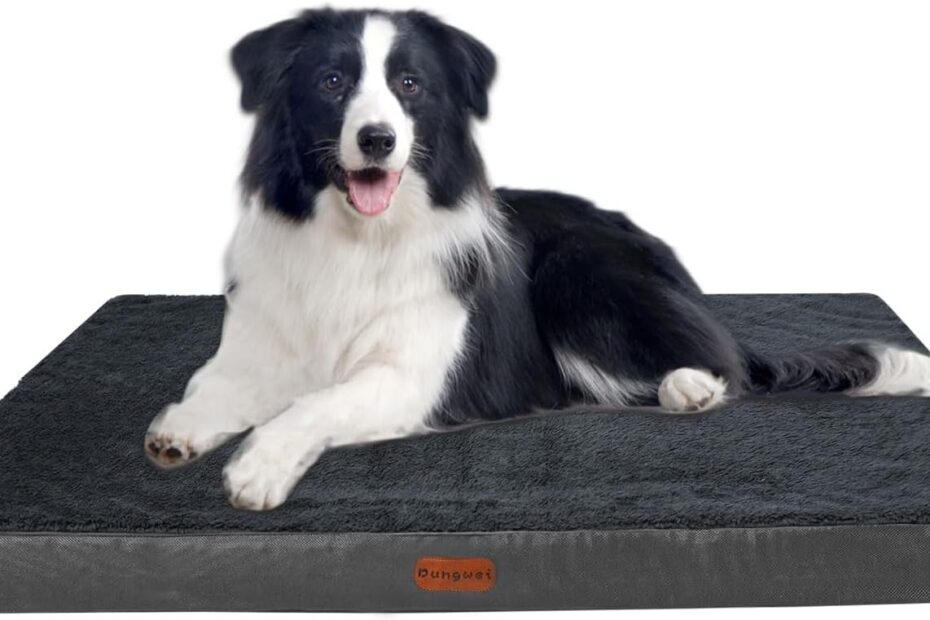 Ultimate Comfort: Review of the Orthopedic Dog Bed for Large Dogs