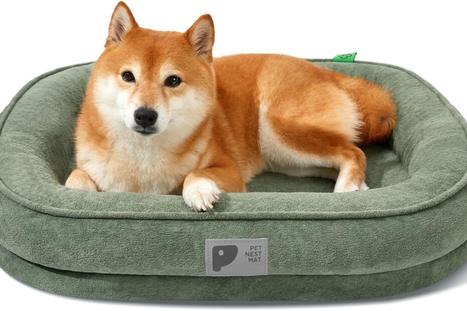 Ultimate Comfort: Review of the Orthopedic Dog Bed for Medium Pups