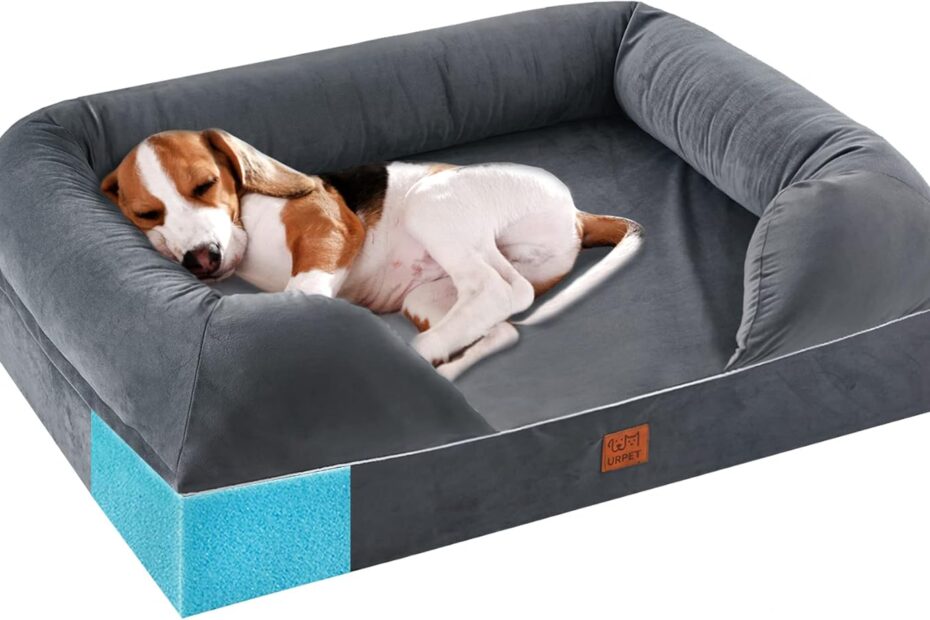 Ultimate Comfort: Review of the Orthopedic Dog Bed for Small Dogs