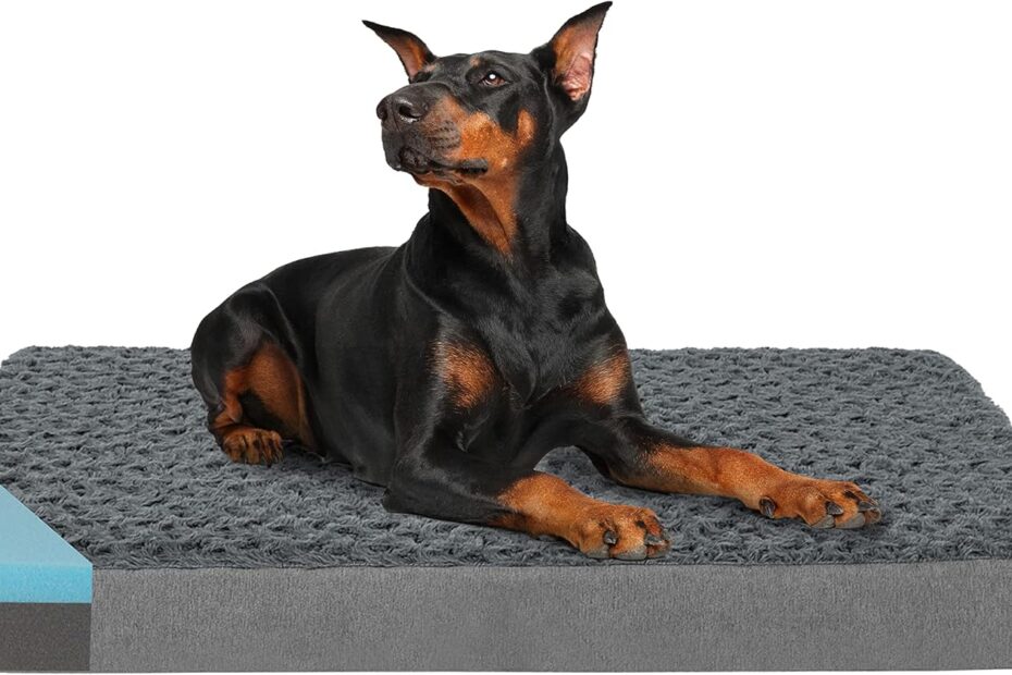 Ultimate Comfort: Review of the Orthopedic Memory Foam Dog Bed for XXL Dogs