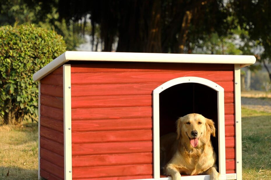 Ultimate Comfort: Review of the Petsfit Extra Large Wooden Dog House