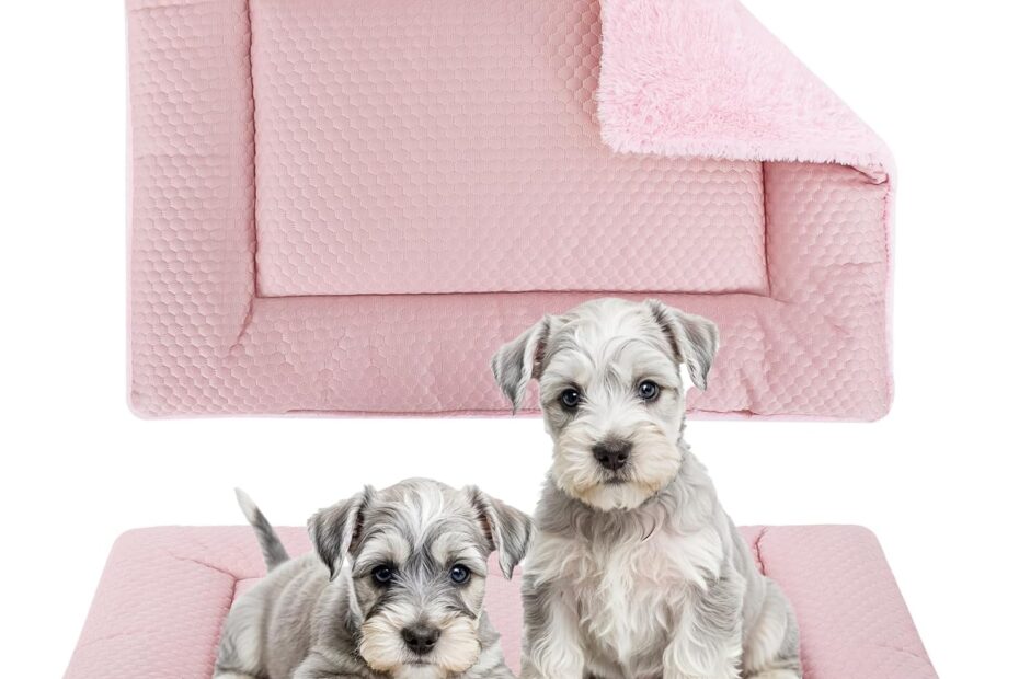 Ultimate Comfort: Review of the Reversible Dog Bed Mat for Small and Medium Dogs