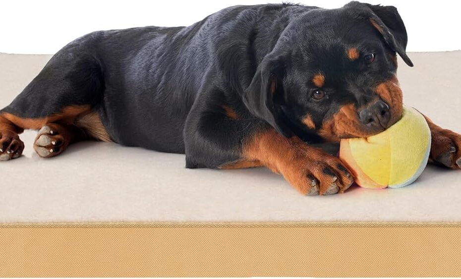 Ultimate Comfort: Review of the Reversible Egg Crate Orthopedic Dog Bed