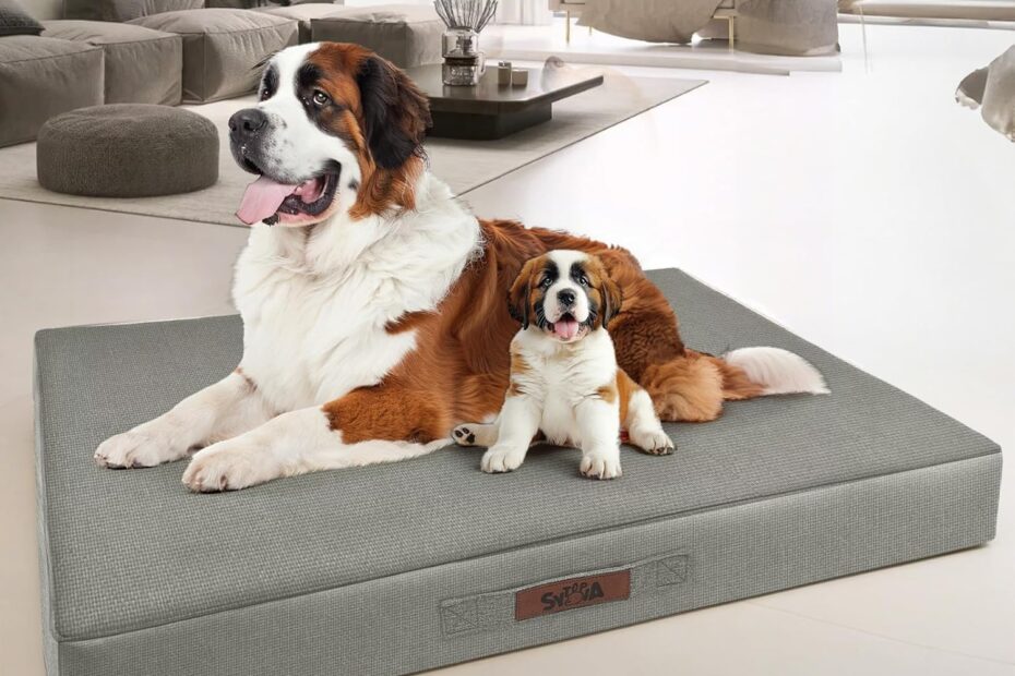 Ultimate Comfort: Review of the Sytopia 42-Inch Waterproof Dog Bed