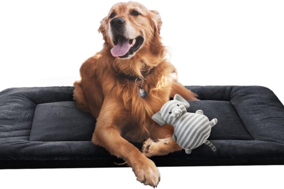 Ultimate Comfort: Review of the Ultra Soft Dog Bed for Large Breeds