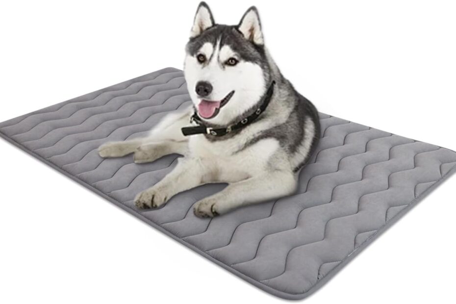 Ultimate Comfort: Review of the Ultra Soft Dog Crate Mat for Every Pup