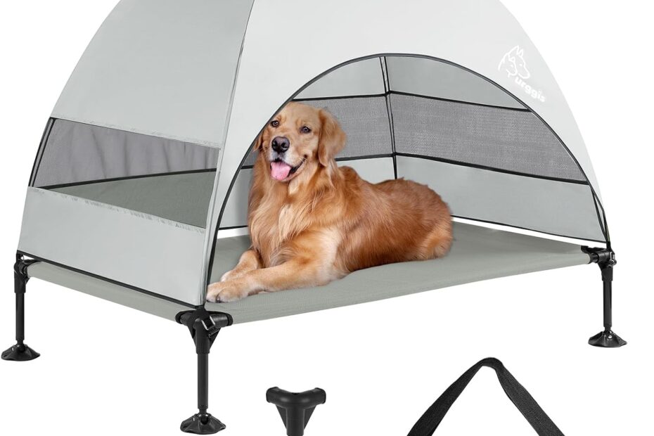 Ultimate Comfort: Review of the Upgraded Elevated Dog Bed with Canopy