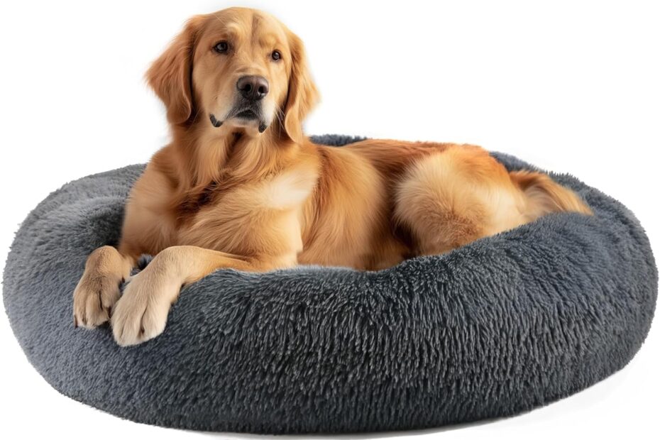 Ultimate Comfort: Review of the Washable Indestructible Large Pet Bed for Dogs and Cats