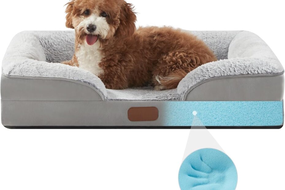 Ultimate Comfort: Review of the Waterproof Orthopedic Dog Bed for Small Dogs
