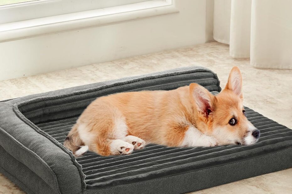 Ultimate Comfort: Review of the Waterproof Orthopedic Dog Bed for Small & Medium Paws