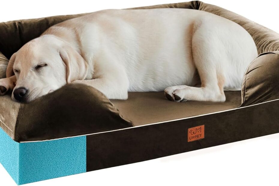 Ultimate Comfort: Review of the XL Orthopedic Dog Bed for Your Large Canine