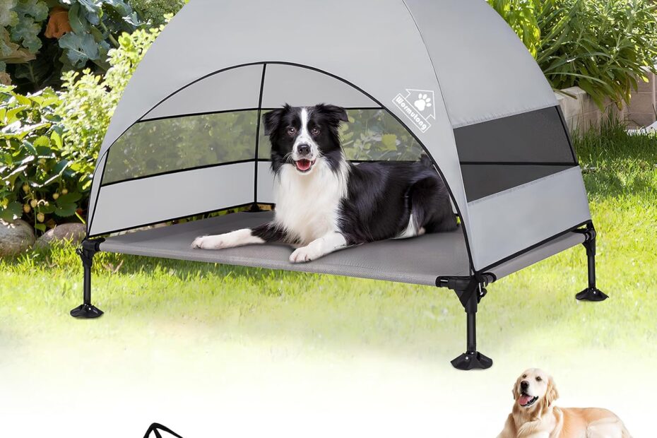 Ultimate Comfort: Reviews of the Elevated Outdoor Dog Bed with Canopy!