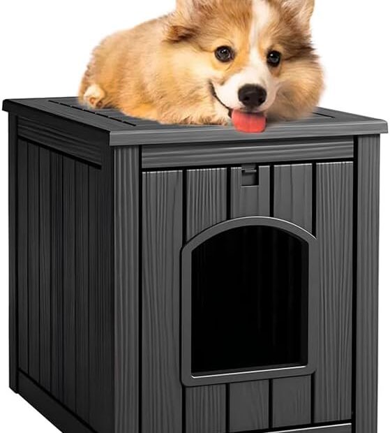 Ultimate Comfort: ROJIK Waterproof Dog House Review for All Pets!