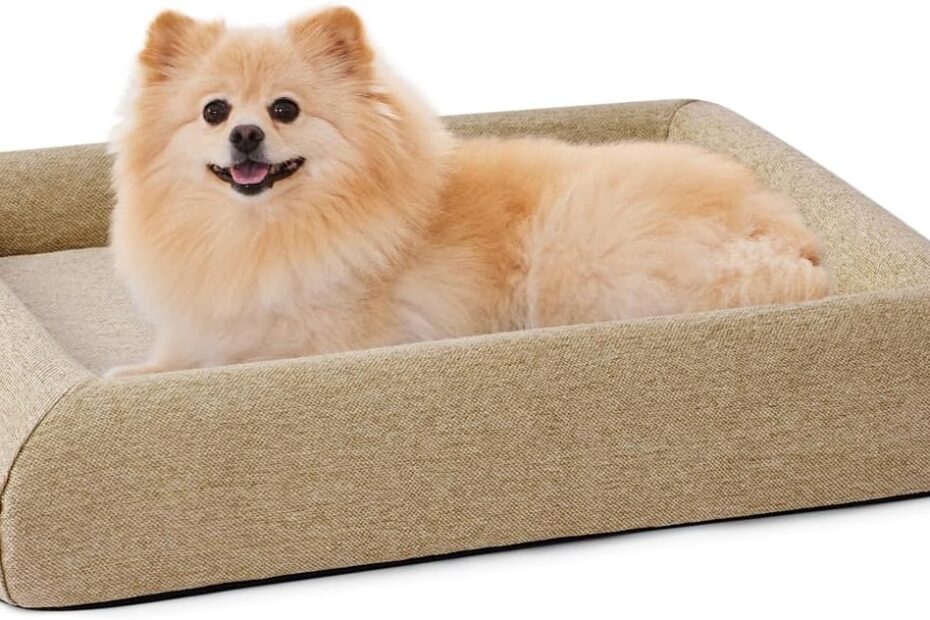 Ultimate Comfort: The Best Orthopedic Dog Bed for Medium Breeds Review!