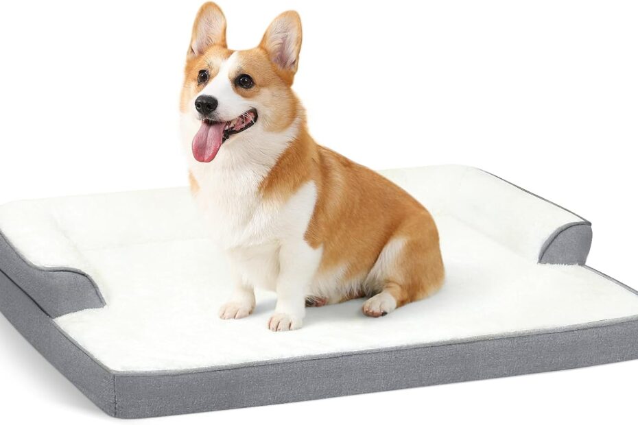 Ultimate Comfort: The Best Orthopedic Dog Bed for Your Furry Friend!