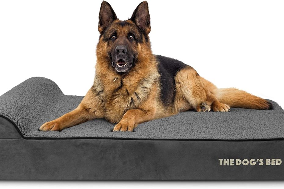 Ultimate Comfort: The Dog’s Bed Orthopedic Headrest Review for Happy, Pain-Free Pets!
