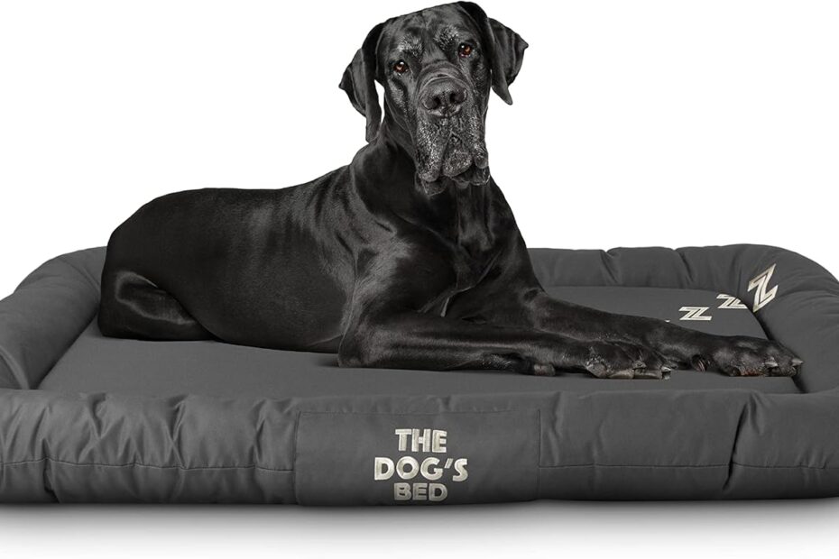 Ultimate Comfort: The Dog’s Bed Utility Waterproof Dog Bed Review