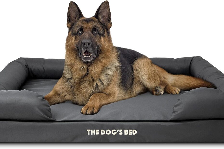 Ultimate Comfort: The Dog’s Bed XL for Pain Relief & Support