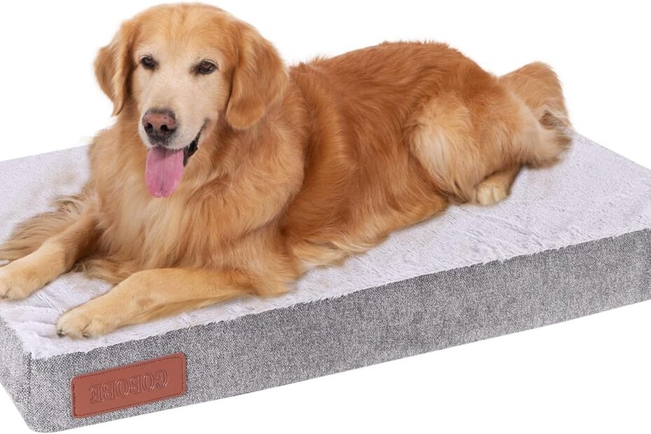 Ultimate Comfort: The Waterproof Orthopedic Dog Bed Review