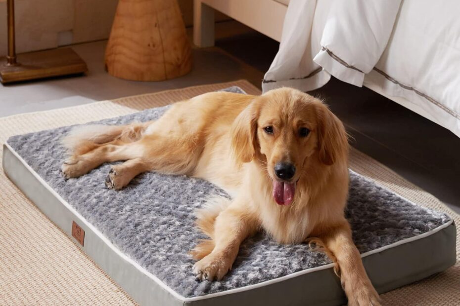 Ultimate Comfort: WNPETHOME Orthopedic Large Dog Bed Review