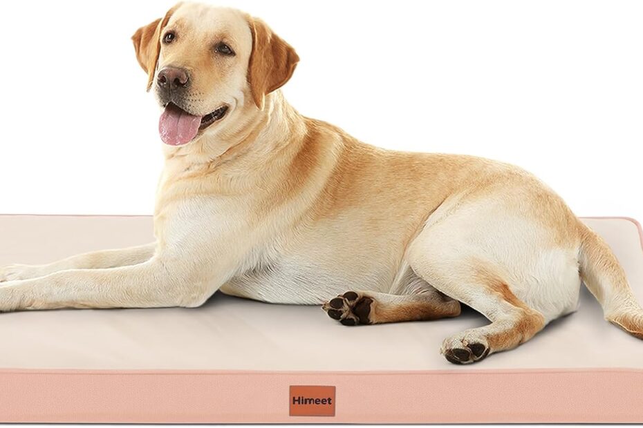 Ultimate Comfort: XL Waterproof Orthopedic Dog Bed Review