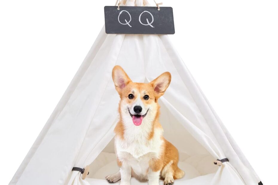 Ultimate Cozy Retreat: Review of the Modern Pet Teepee with Cushion for Cats and Dogs