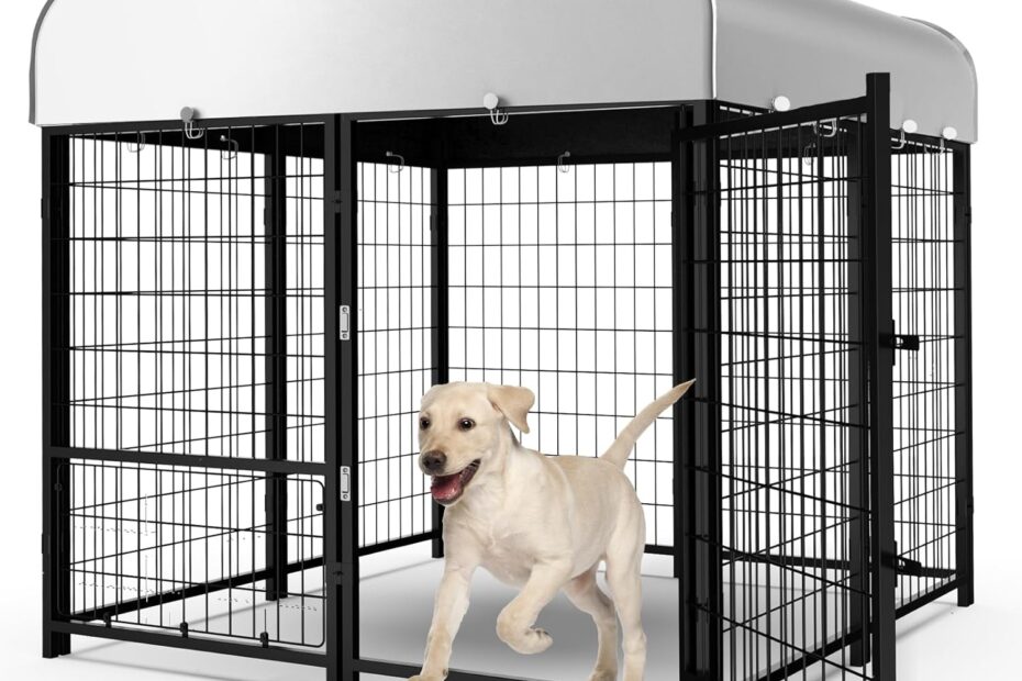 Ultimate Freedom: The Perfect Outdoor Dog Run for Small & Medium Dogs!