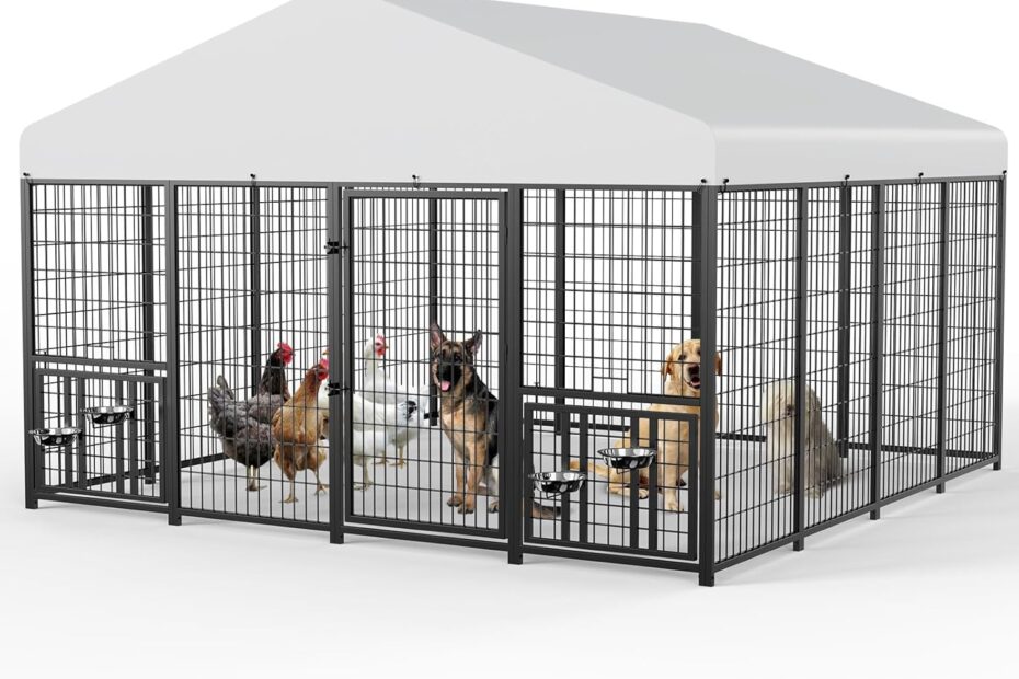 Ultimate Outdoor Dog Enclosure: Review of the 10' x 10' Large Dog Kennel & Chicken Coop Run