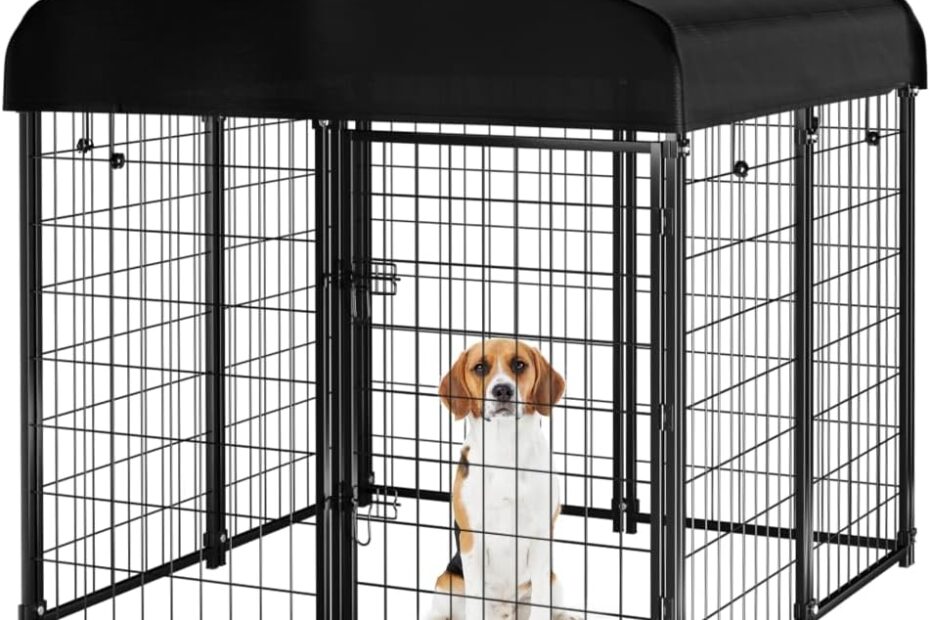 Ultimate Outdoor Dog Kennel Review: Heavy-Duty Comfort for Your Pets!