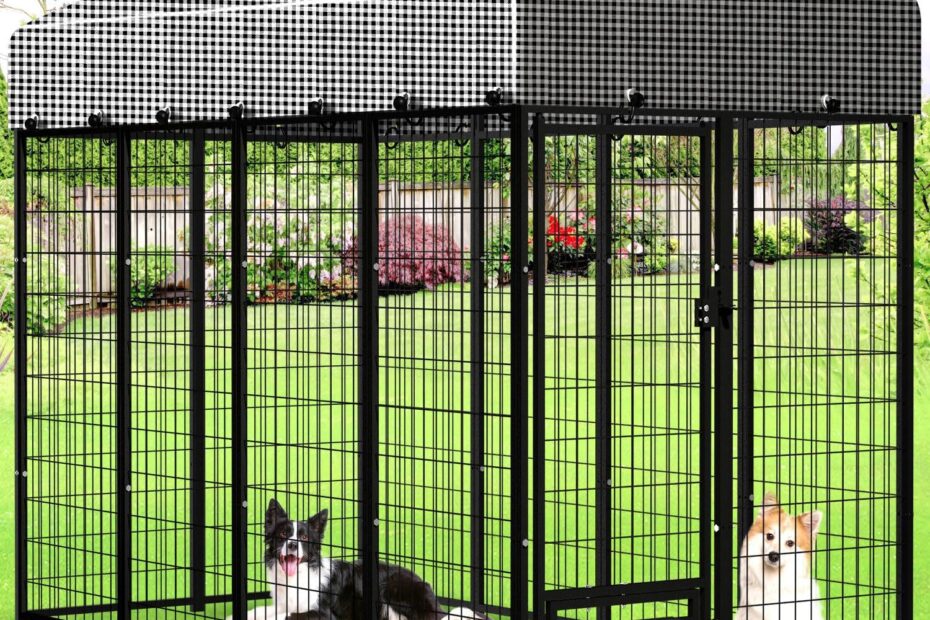 Ultimate Outdoor Dog Kennel Review: Heavy-Duty Security and Comfort for Your Furry Friend!