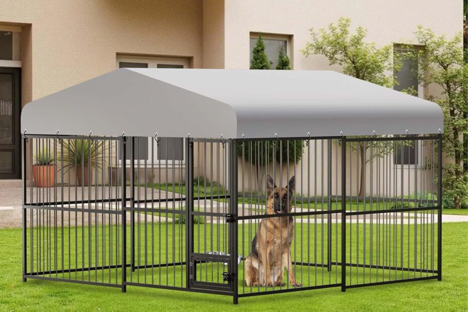 Ultimate Outdoor Retreat: Review of the 10x10 Heavy-Duty Dog Kennel